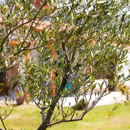 Apartmanhotel Blue Breeze