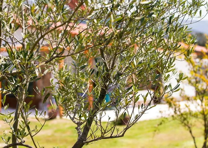 아파트호텔 Blue Breeze